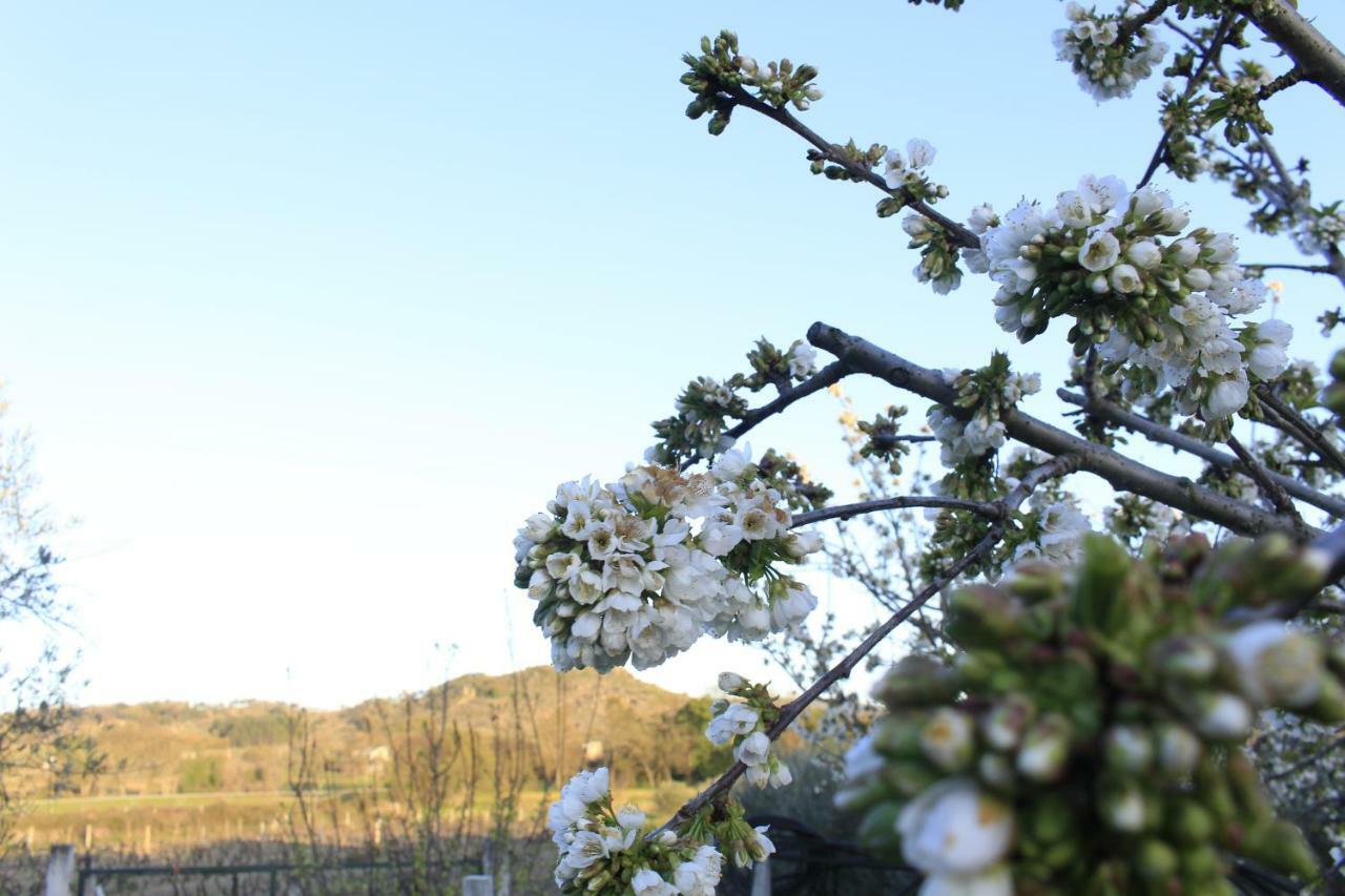 Quinta Da Ribeira Villa Belmonte  Dış mekan fotoğraf